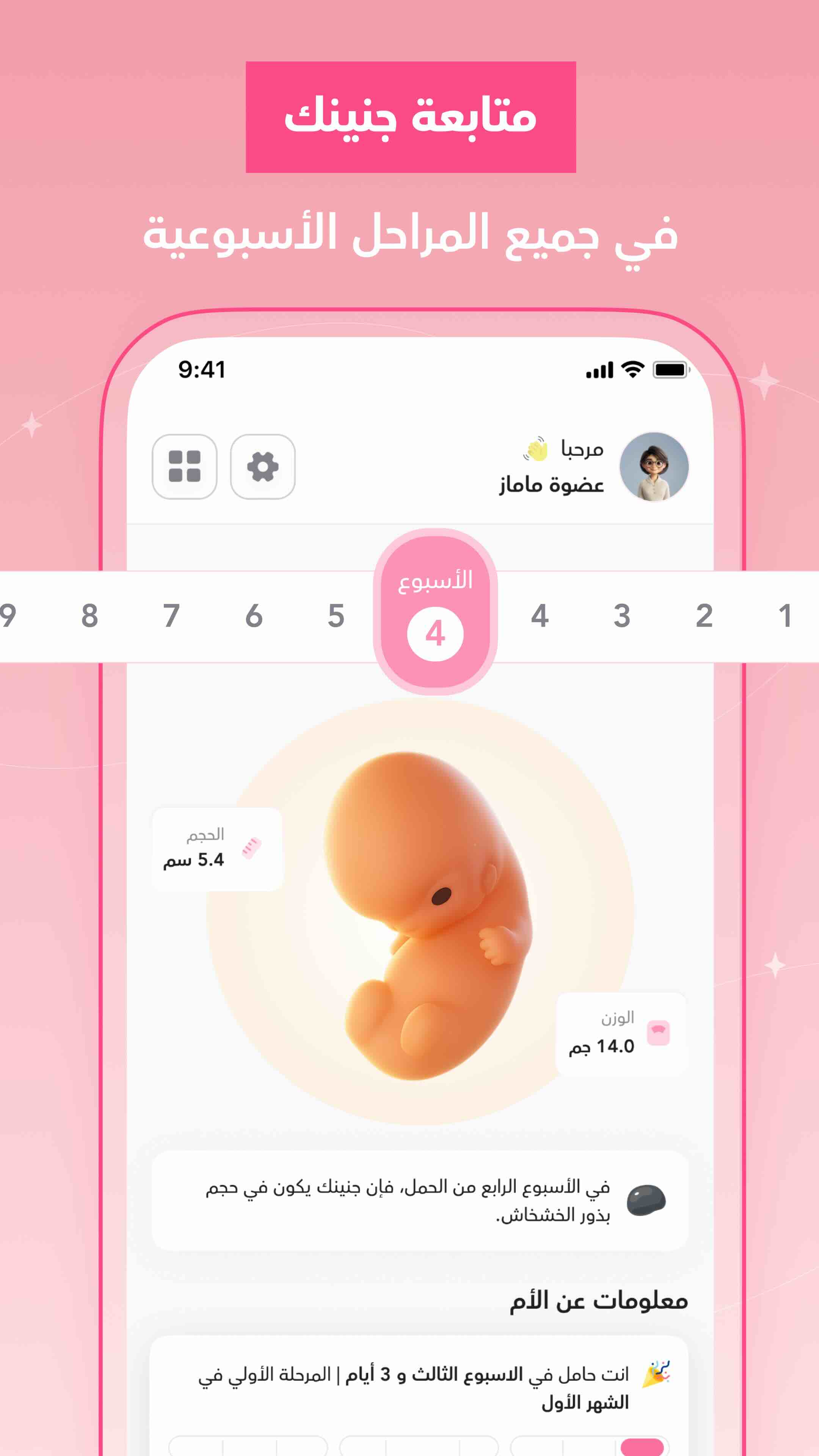 تتبع الحمل اسبوع باسبوع